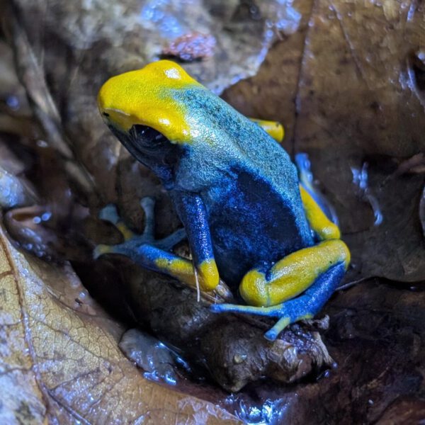 PXL_20251003_165230238