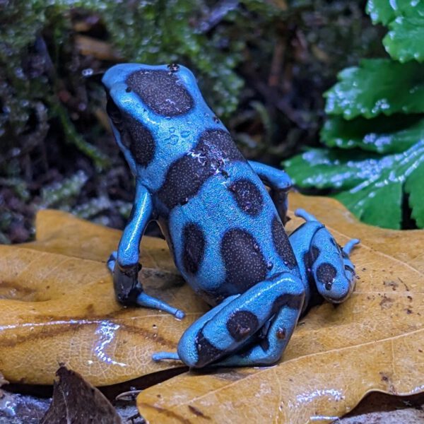 PXL_20251004_074001597