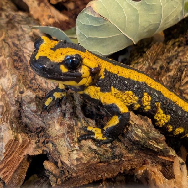 PXL_20251113_111157155