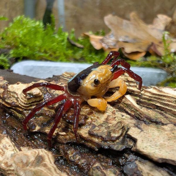 PXL_20251126_113831076