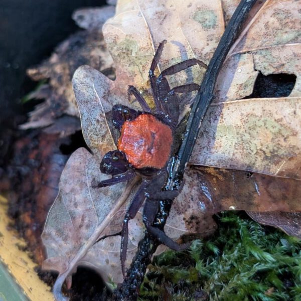 PXL_20251126_115129879.NIGHT