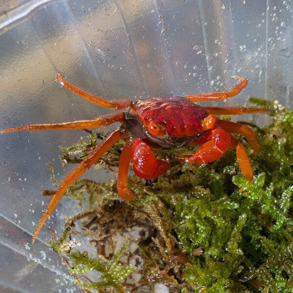 PXL_20260128_141303880