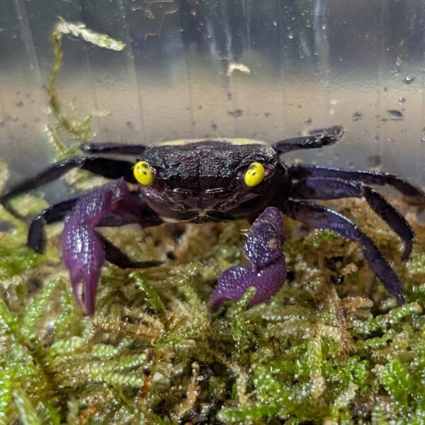 PXL_20260128_141919504