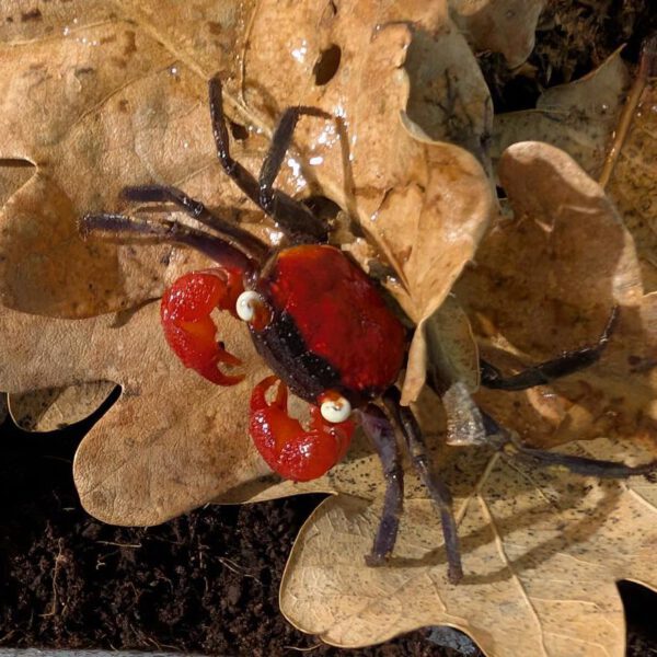 PXL_20260204_144745375