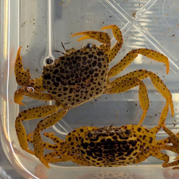 PXL_20260220_162308940