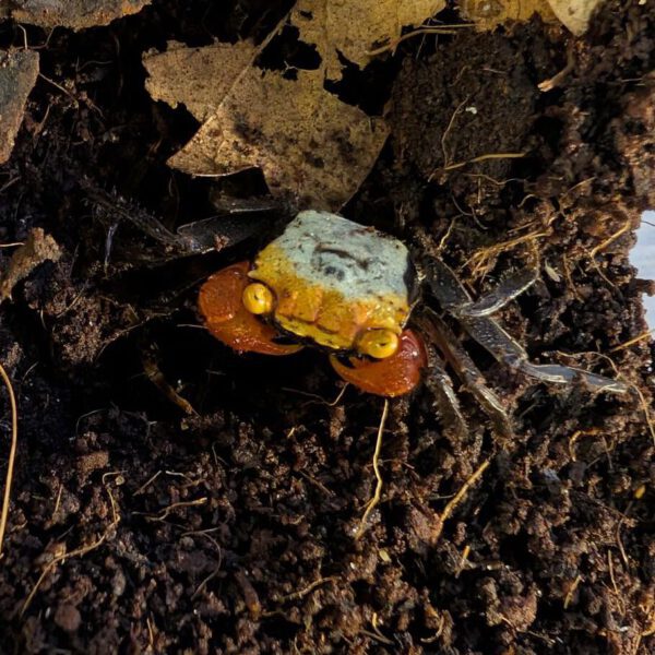 PXL_20260221_145255657