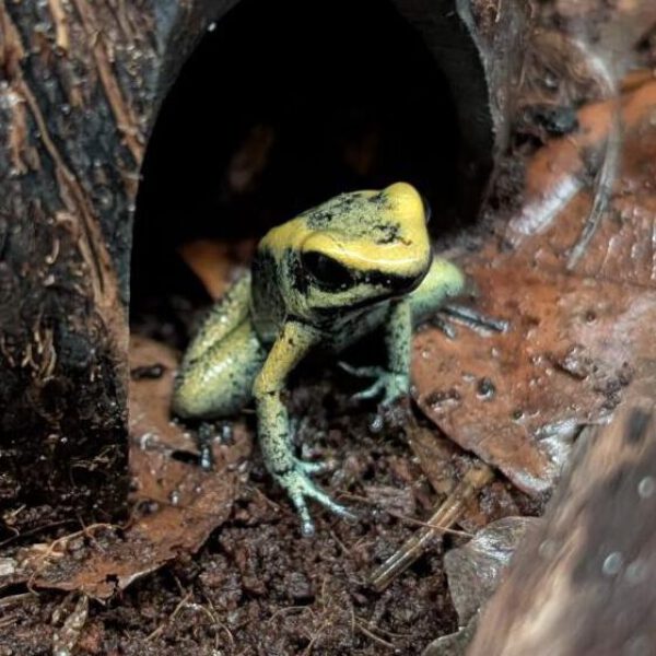 PXL_20260222_101749979