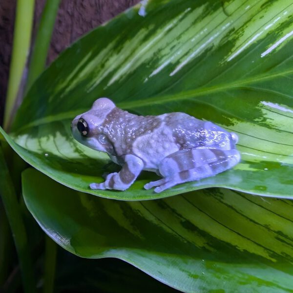 PXL_20260224_113040169