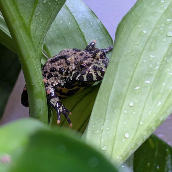 PXL_20260314_144329329