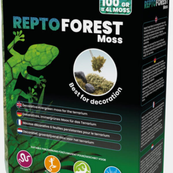 REPTO_FOREST_MOSS_100G_3D_182bf