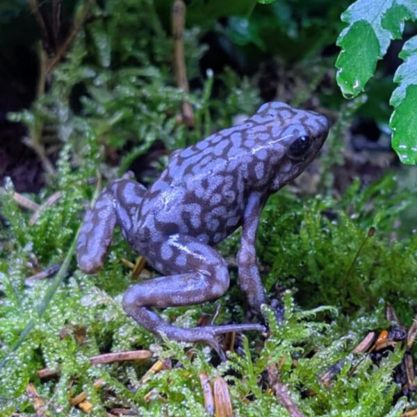 a5935311-5a7c-4e9d-9115-de2cdb400938