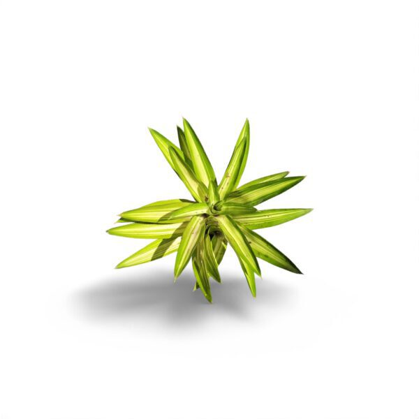 c6e0c3da-5d3c-4569-9c9d-42de29e57a49